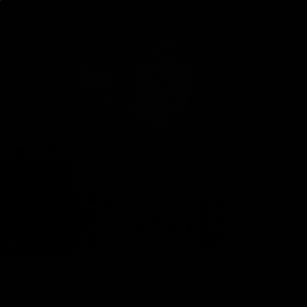 Meet your Posher, Ellie